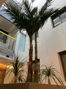 Especialistes en jardineria i espais verds