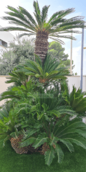Especialistes en jardineria i espais verds