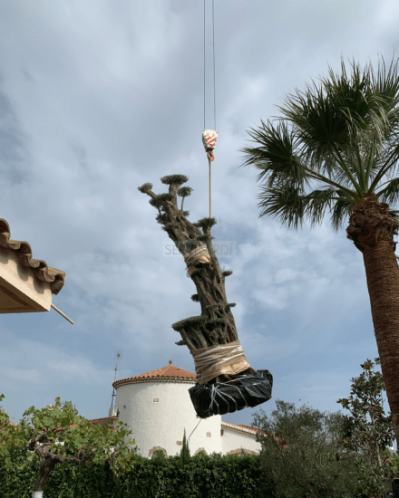 Especialistes en jardineria i espais verds