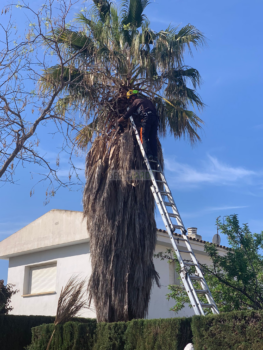 Especialistes en jardineria i espais verds