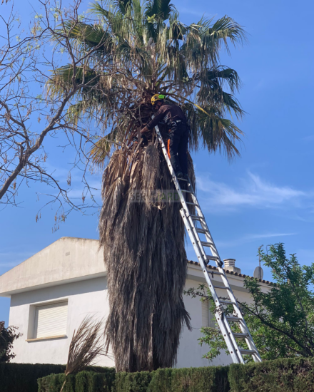 Especialistes en jardineria i espais verds