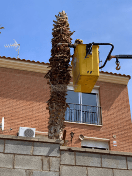 Especialistes en jardineria i espais verds