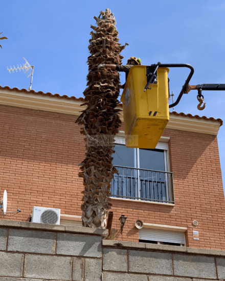 Especialistes en jardineria i espais verds