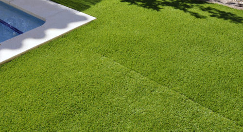 Especialistes en jardineria i espais verds
