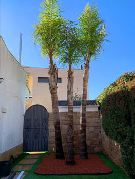 Especialistes en jardineria i espais verds